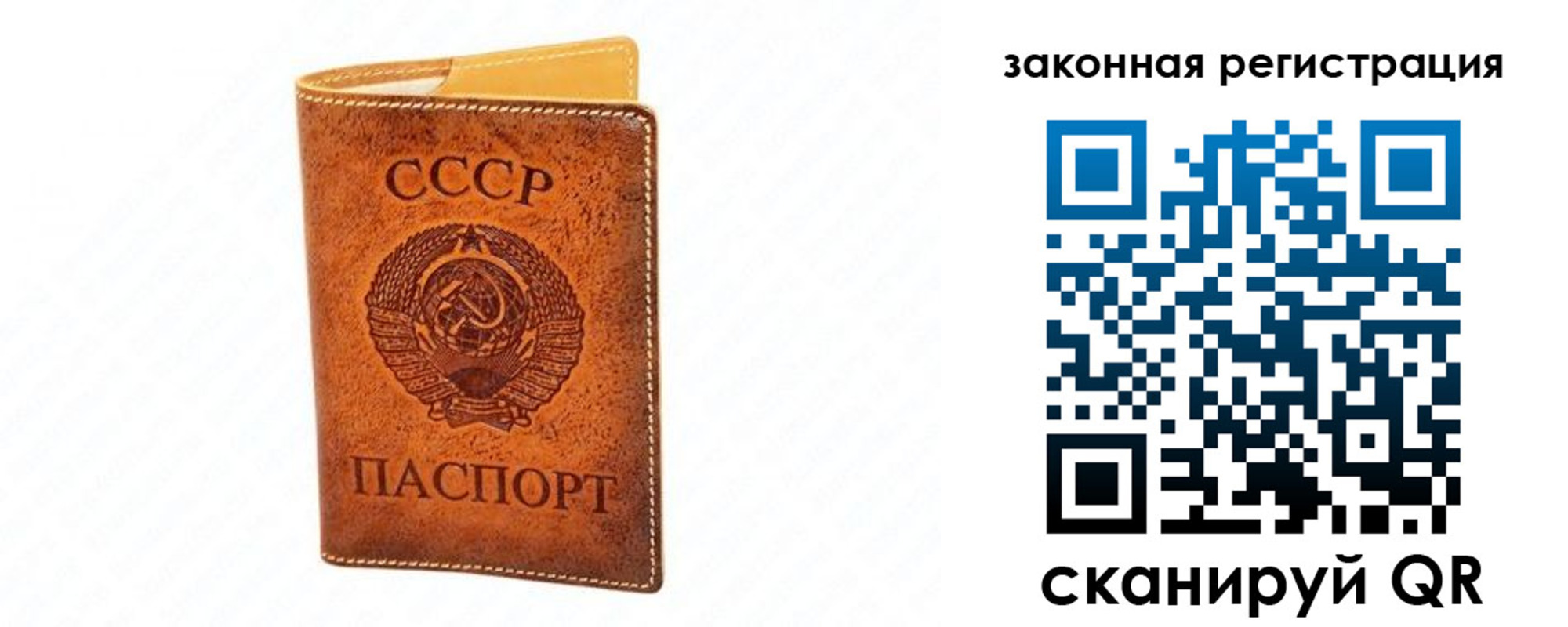 прописка паспорт в Мурманской области
